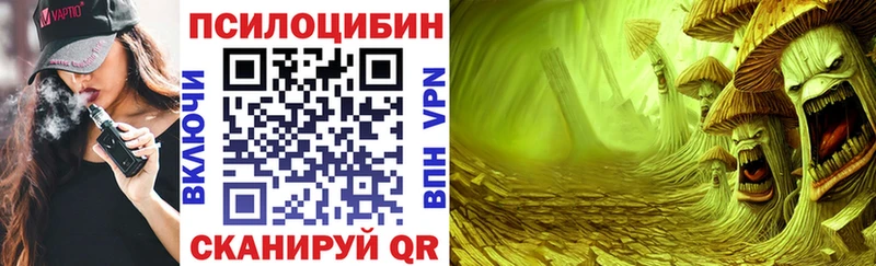 где купить наркоту  Бахчисарай  Галлюциногенные грибы Psilocybe 